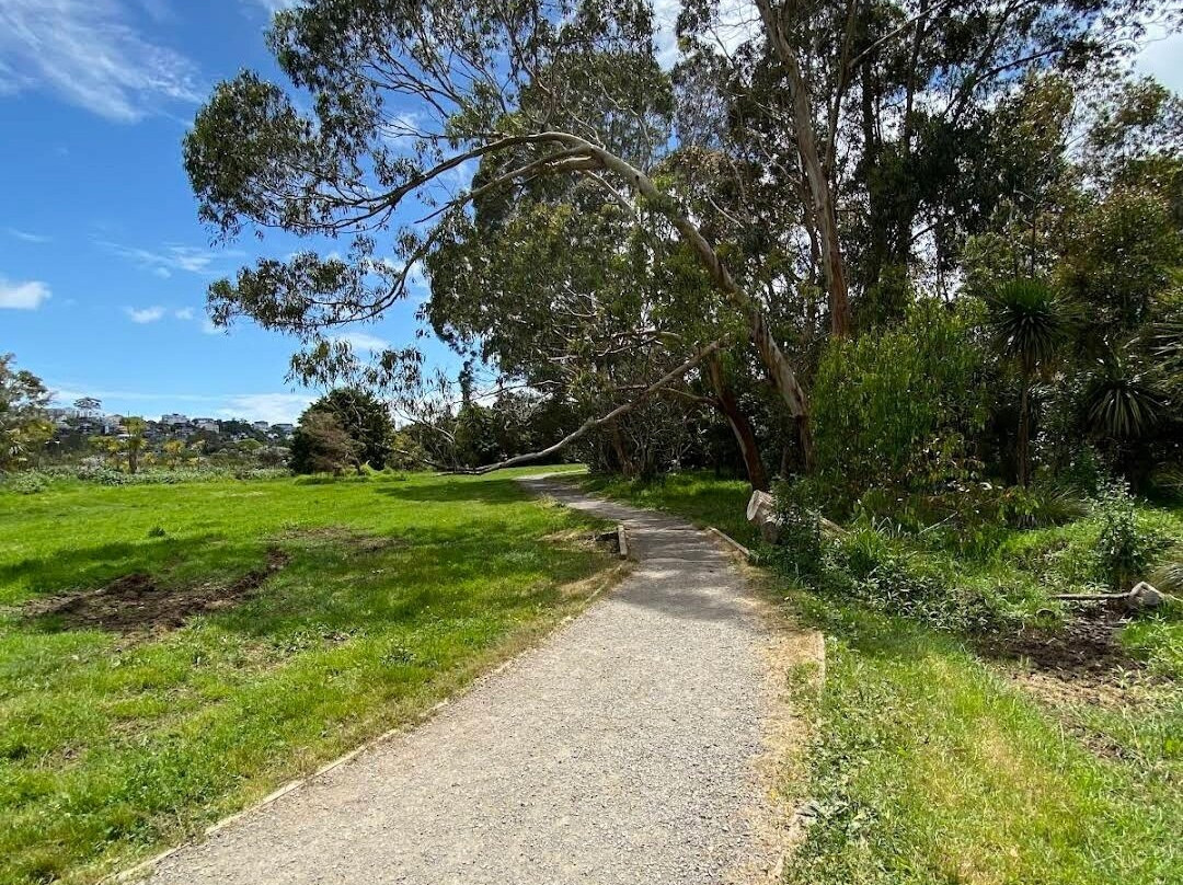 Waiatarua Reserve景点图片