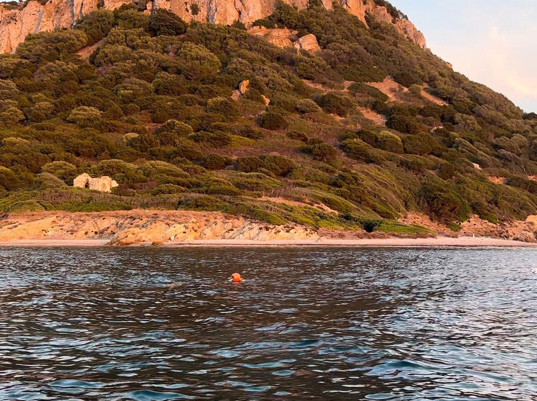 Kayak Delivery Sardegna-奥尔比亚必去景点