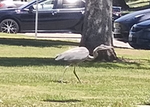 Kern River Parkway Trail-贝克斯菲尔德必去景点