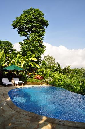 皇家皮塔马哈酒店主图