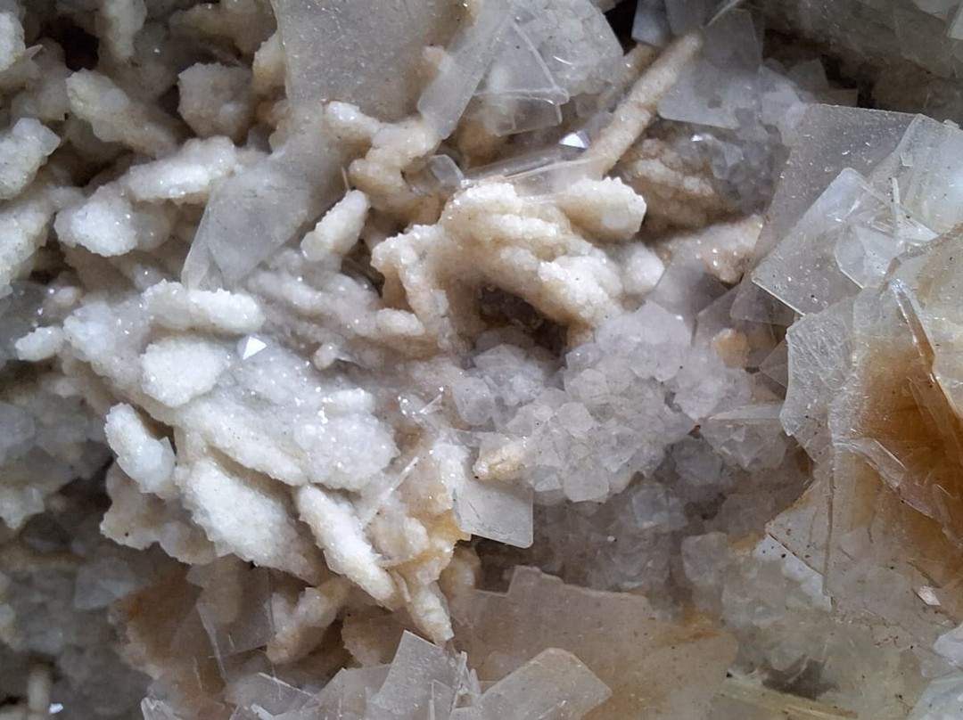 Museo Dei Paleoambienti Sulcitani-Carbonia必去景点