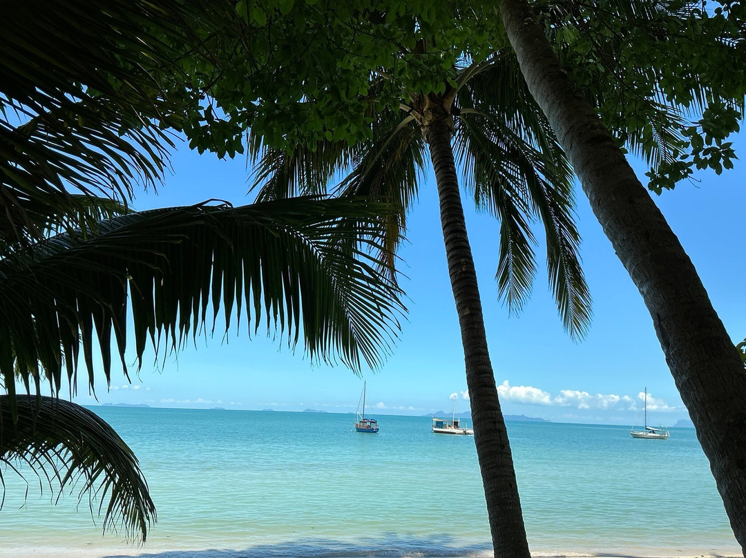 New Body and Mind Retreat主图