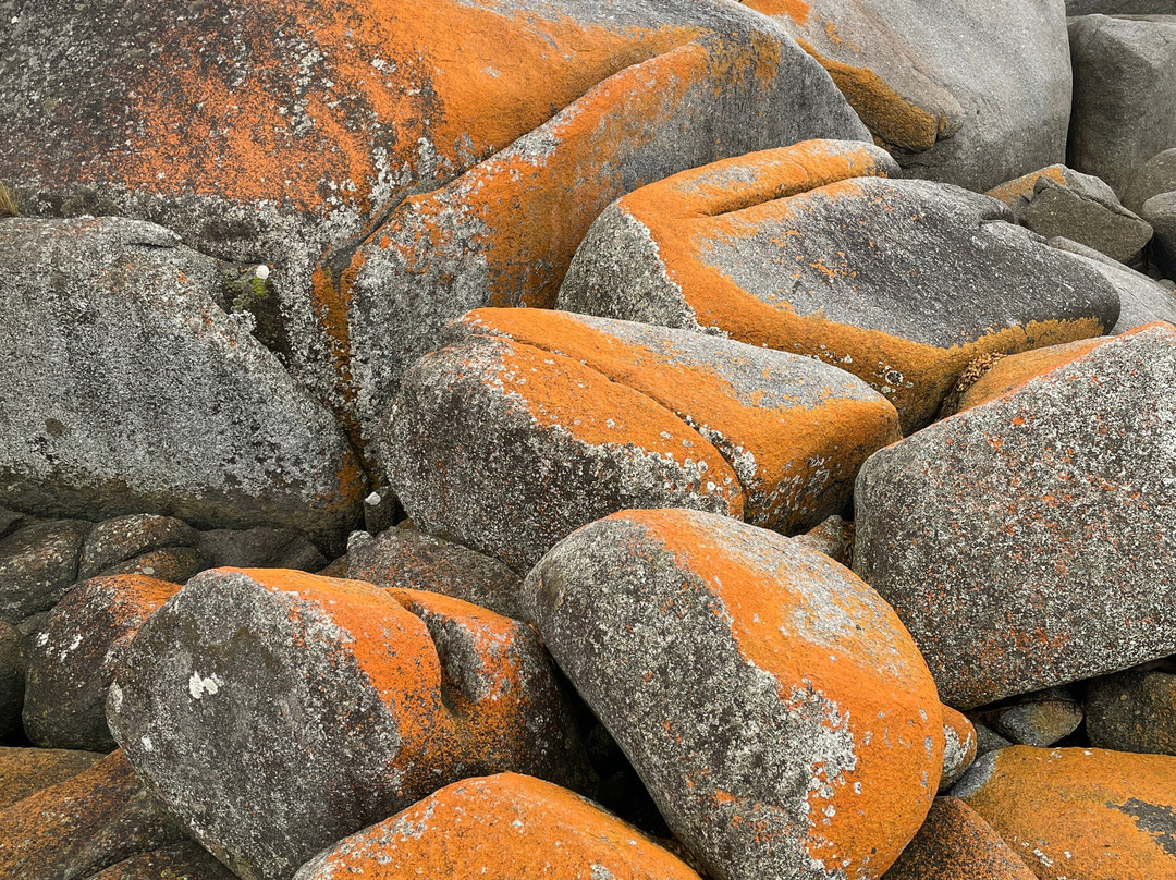 Skeleton Bay To Skeleton Point-Binalong Bay必去景点