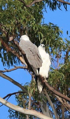 Leven River Cruises景点图片