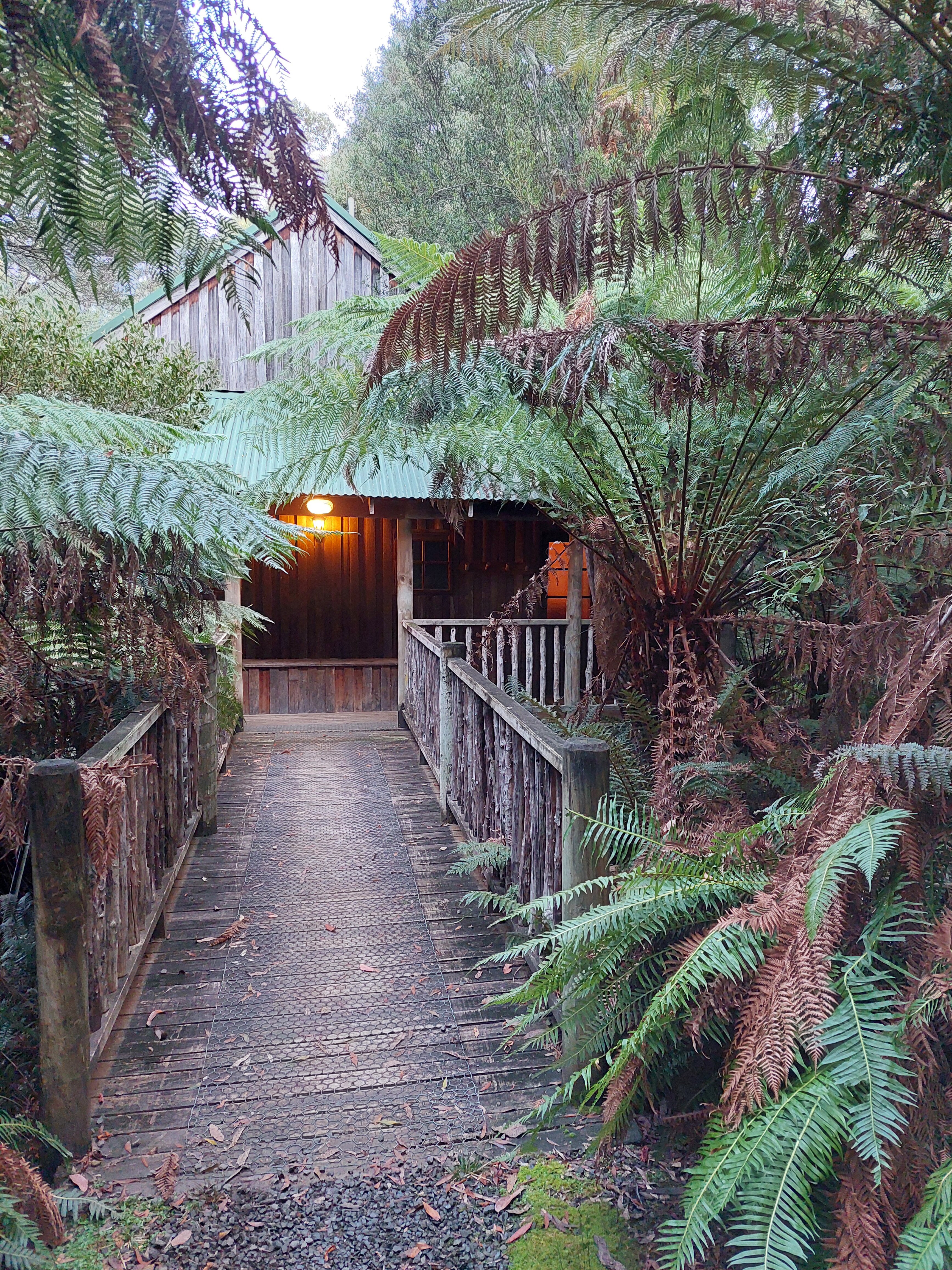 Lemonthyme Wilderness Retreat-浴室