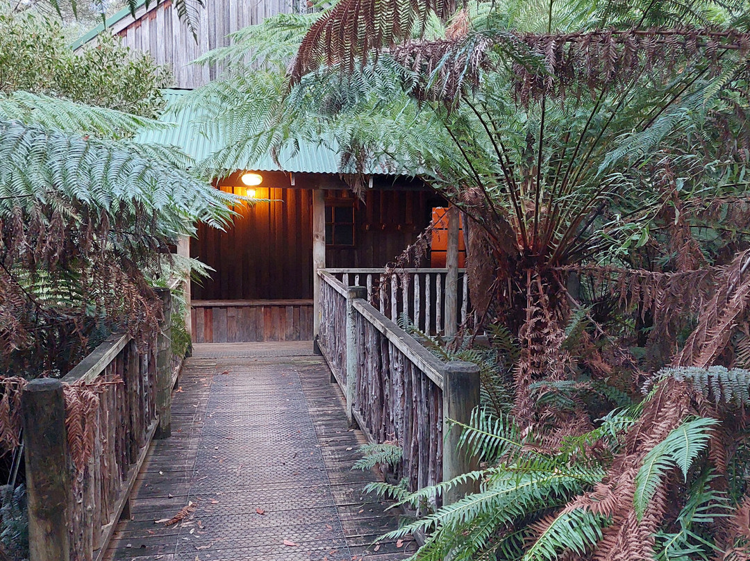 Lemonthyme Wilderness Retreat主图