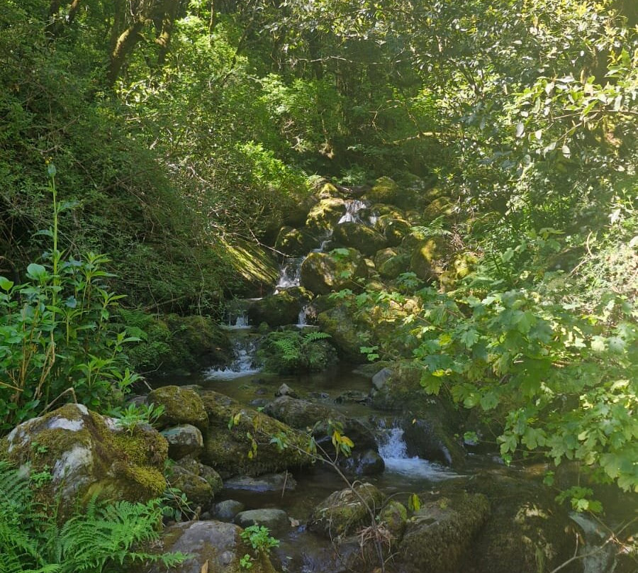 Levada Do Caldeirao Verde-Santana必去景点