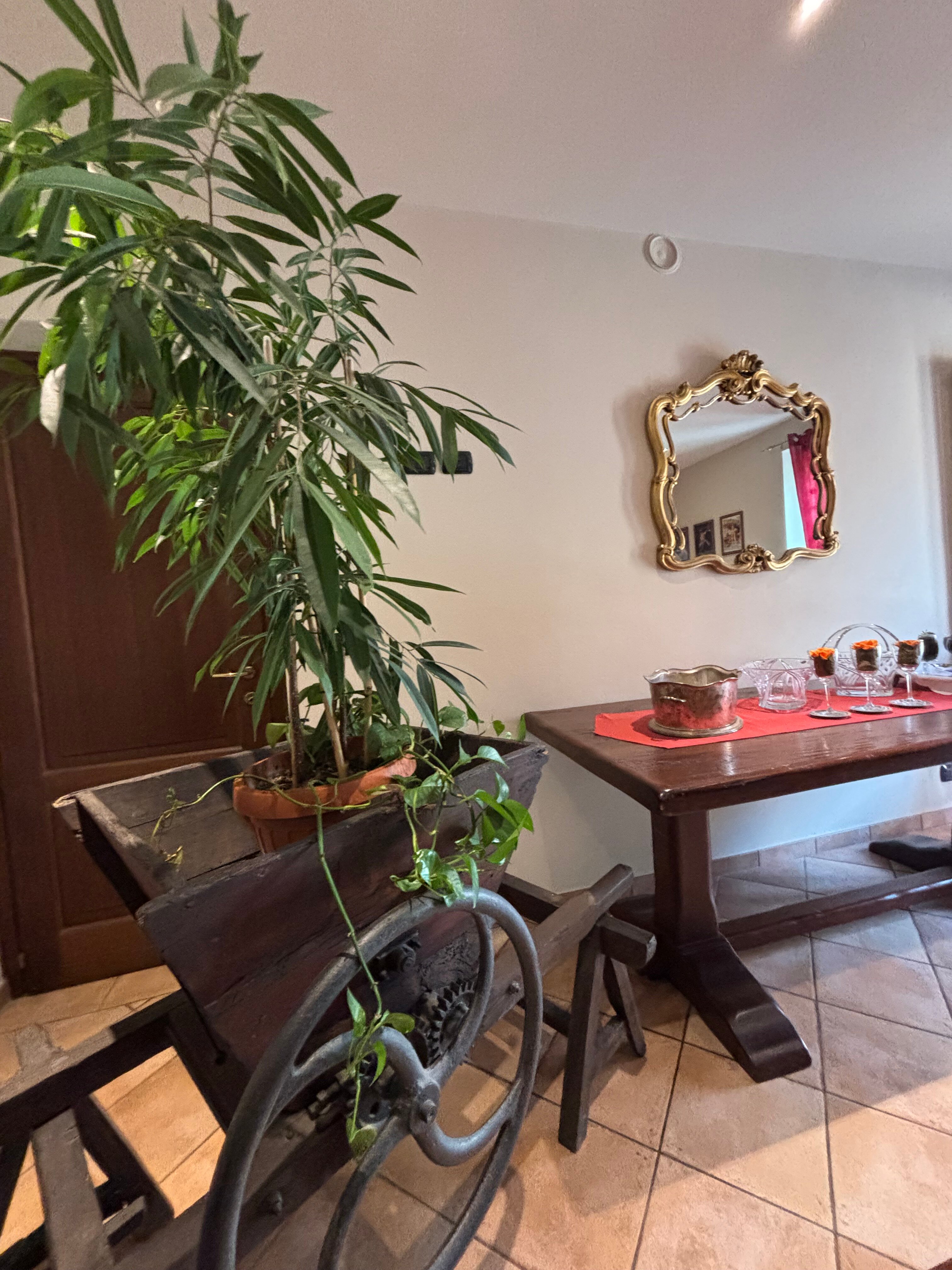 Agriturismo Monbertola-官方
