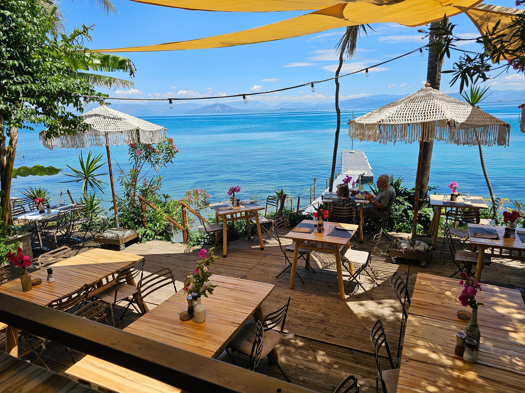 Panorama Notos主图