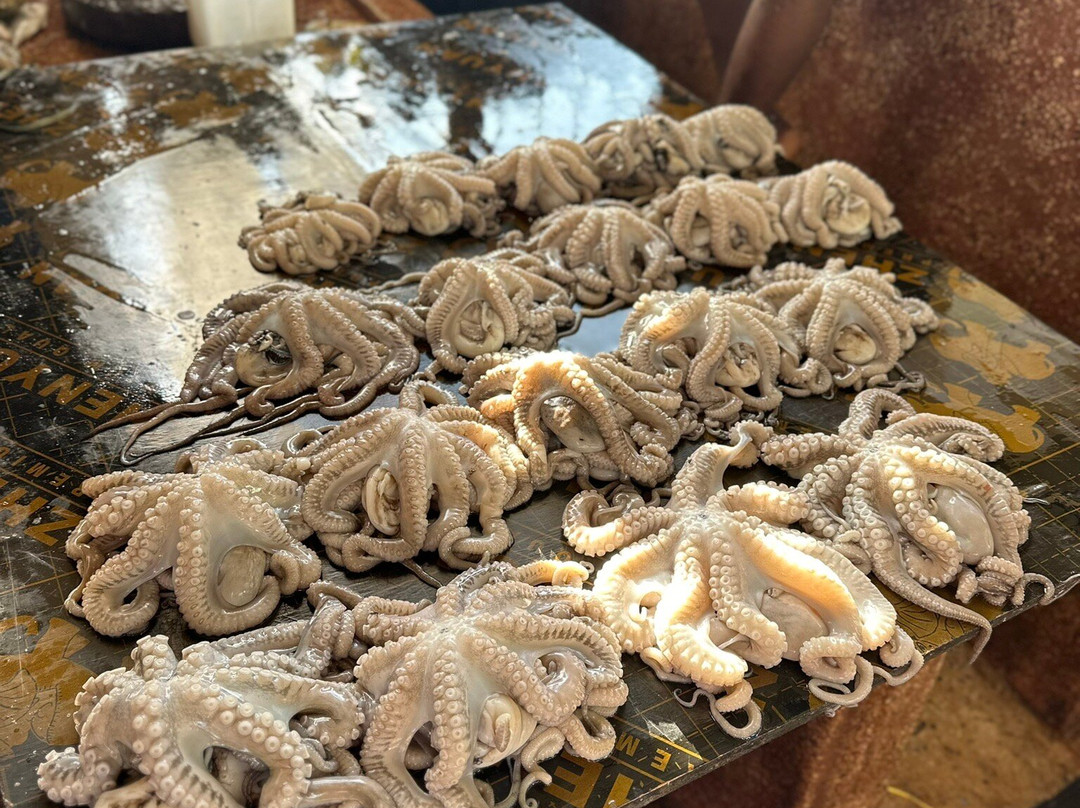 Eden Tours and Travel-桑给巴尔岛必去景点