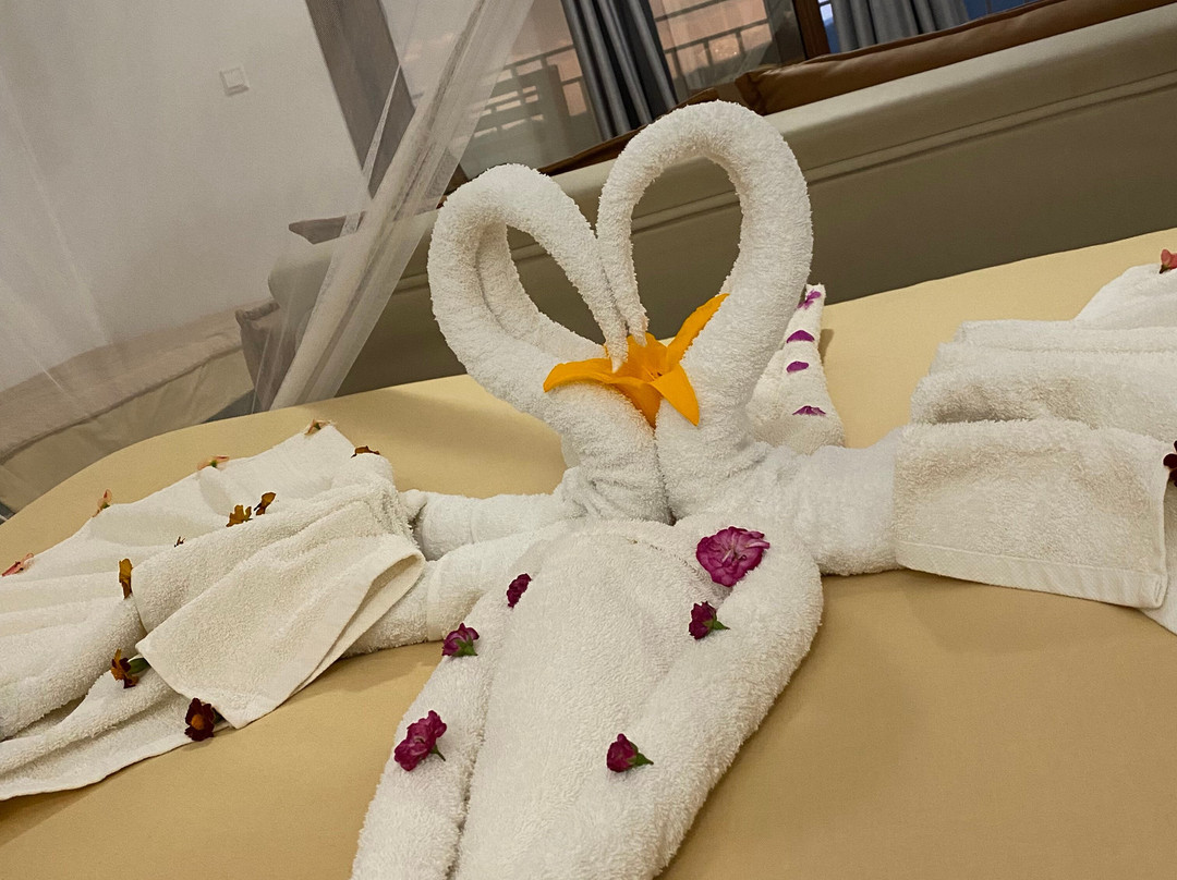 Africa Safari Karatu主图