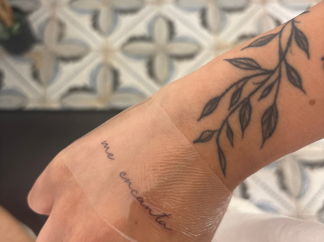 World Of Ink Ibiza-博萨海滩必去景点
