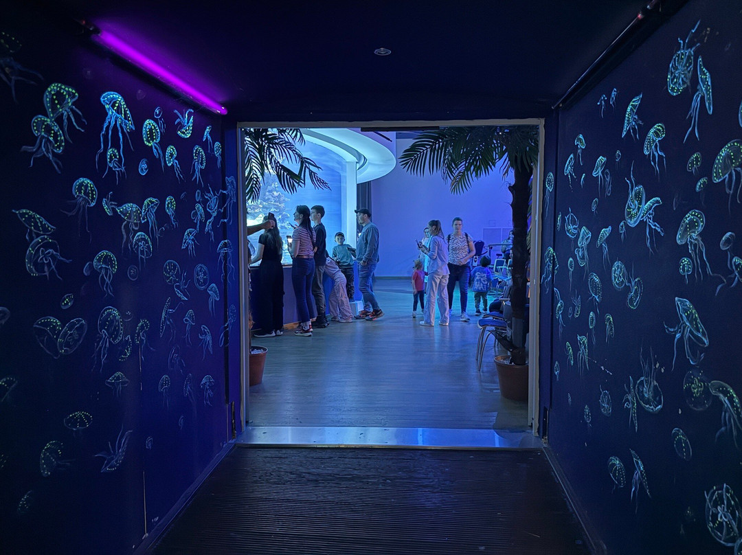 Tropicarium-Oceanárium景点图片