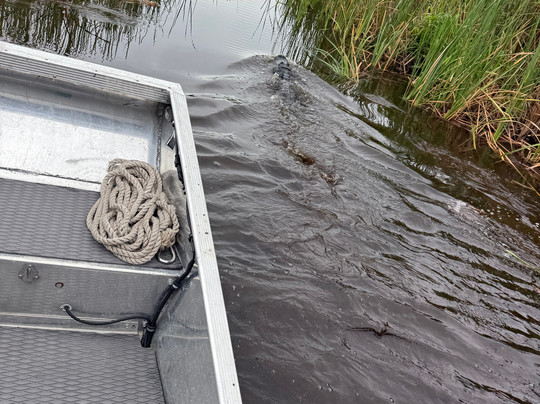 Florida Airboat Rides-庞帕诺比奇必去景点