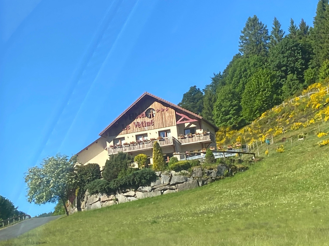 Logis Hôtel le Vétiné主图