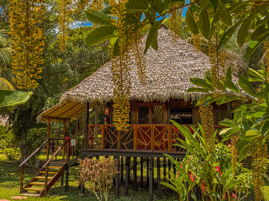 Corto Maltes Amazonia主图