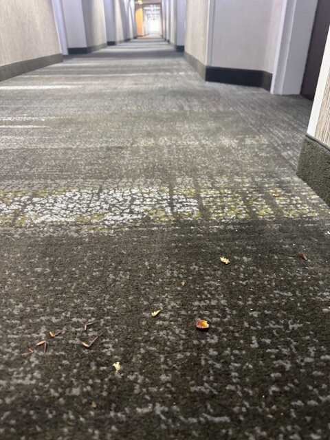 SpringHill Suites by Marriott Sarasota Bradenton主图