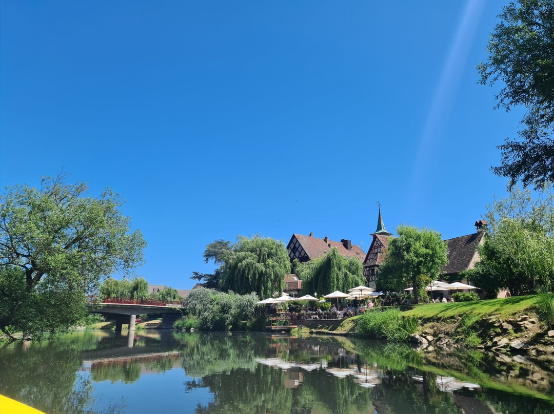 Alsace Canoës景点图片