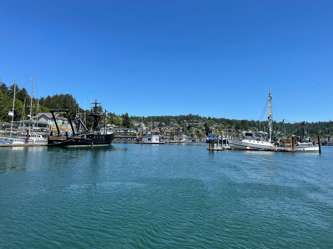 Marine Discovery Tours-纽波特必去景点