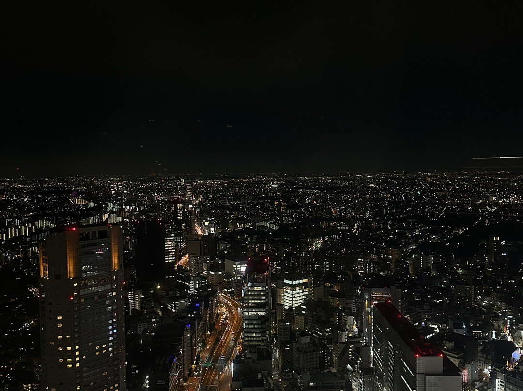 Shibuya Sky景点图片