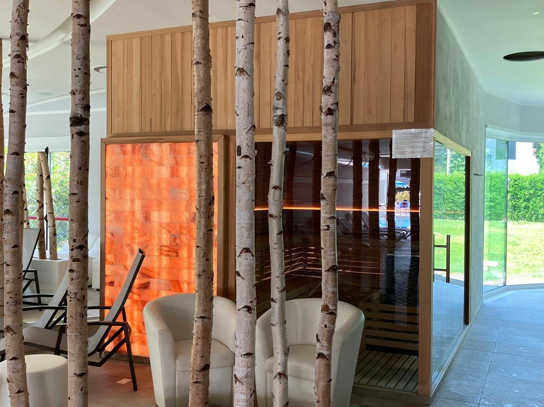 Hotel Terme Vena D'Oro主图