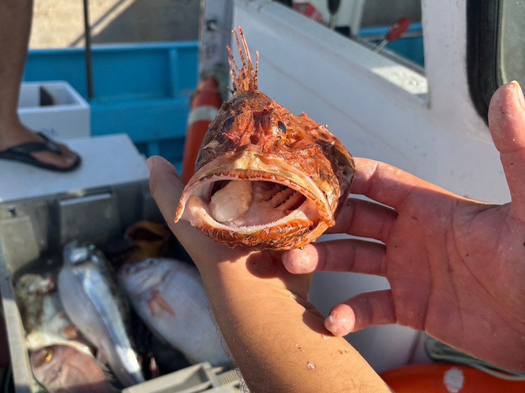 Milatos Fishing Tour-Milatos Beach必去景点