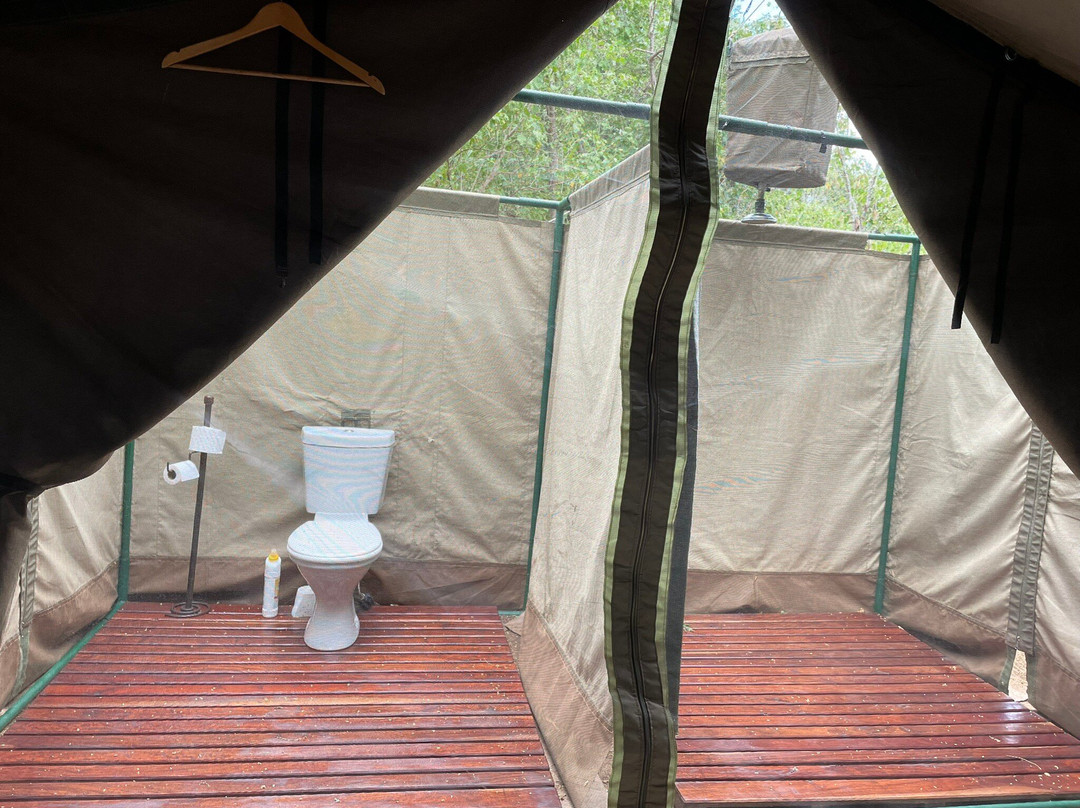 John's Camp - Robin Pope Safaris主图