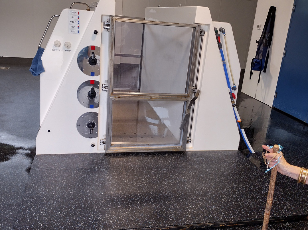 Pin Oak Stud-Versailles必去景点