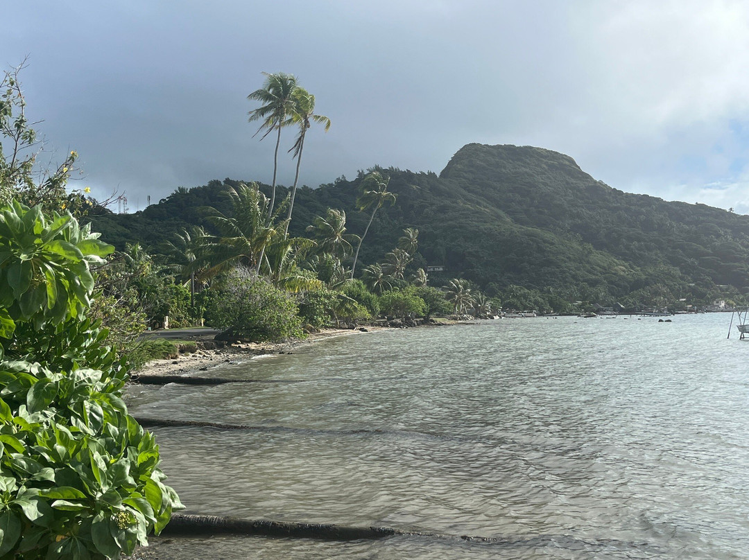 Avis Bora Bora-瓦伊塔佩必去景点