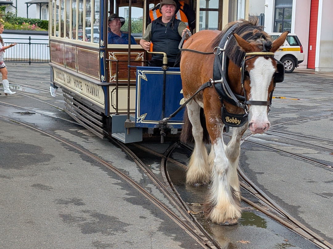 Douglas Bay Horse Tramway-Douglas必去景点