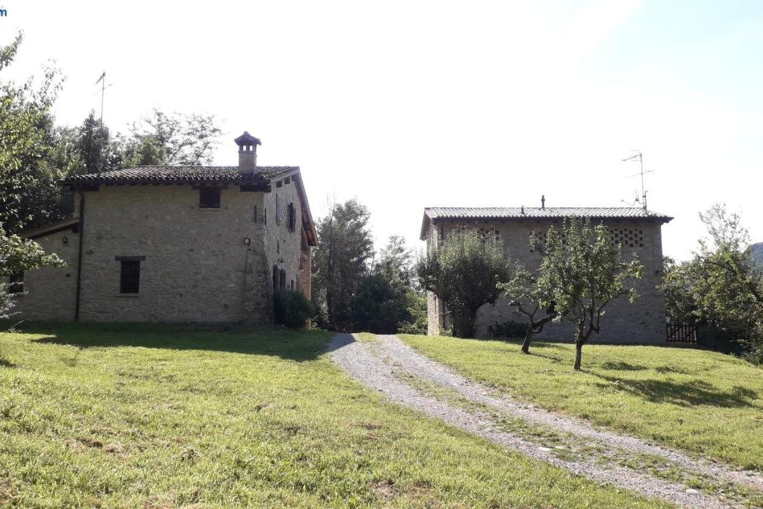 Blq 01 Pizzicare