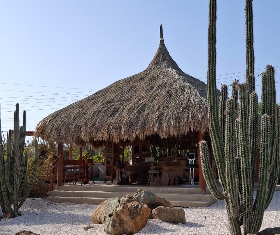Aruba Casita Spa-Noord必去景点