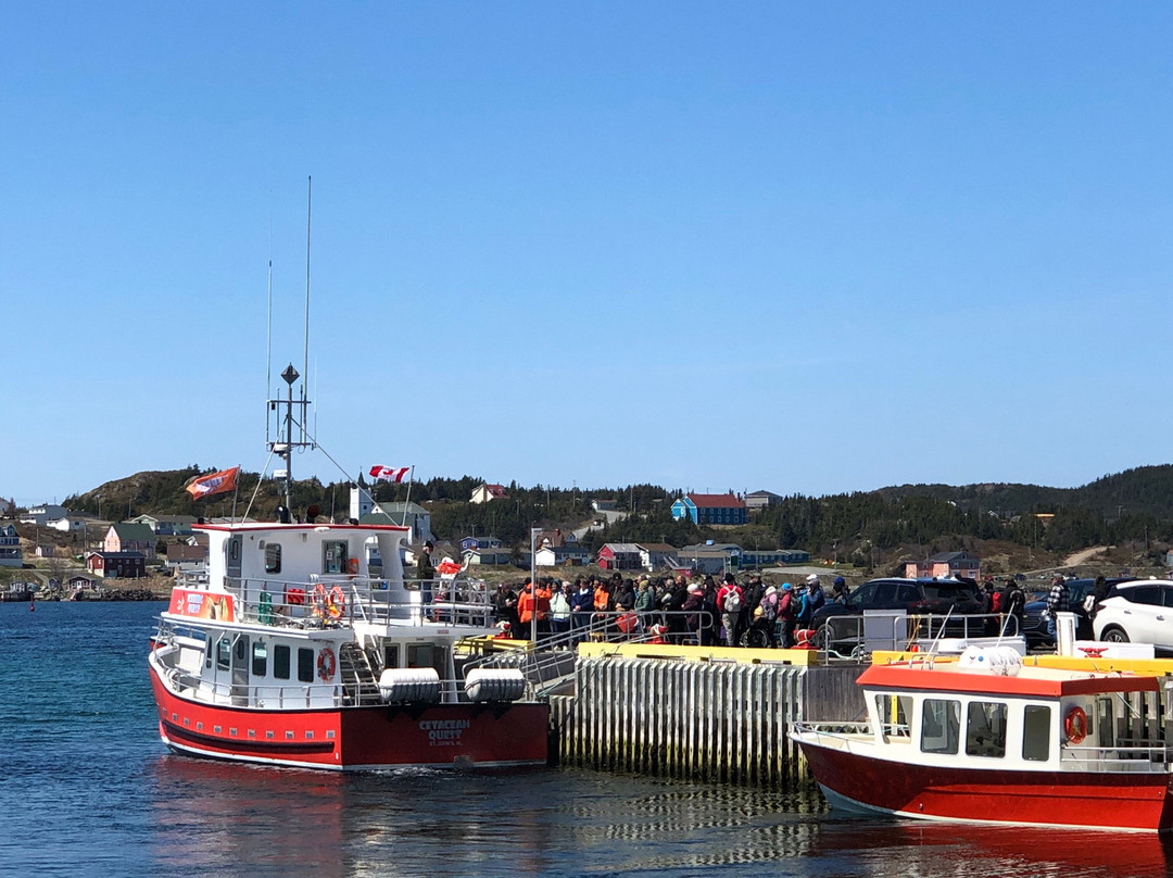 Iceberg Quest Ocean Tours-Twillingate必去景点