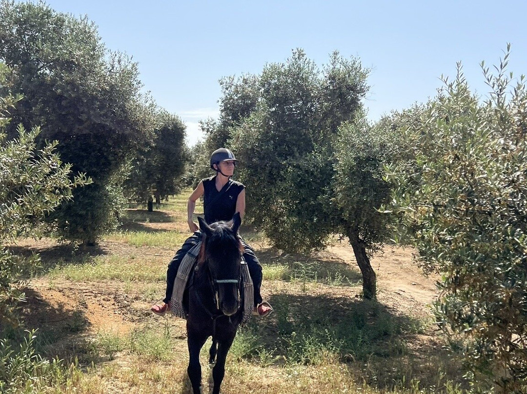 Caballos y Vino-隆达必去景点