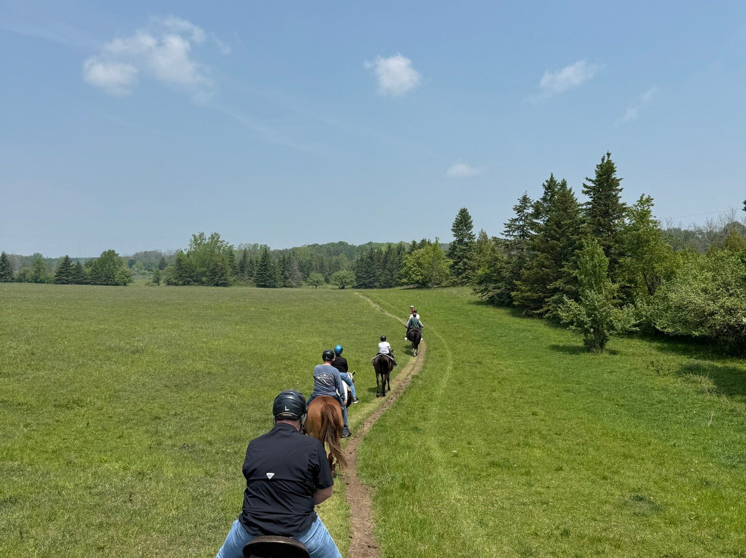 Kurtz Corral-斯特金贝必去景点