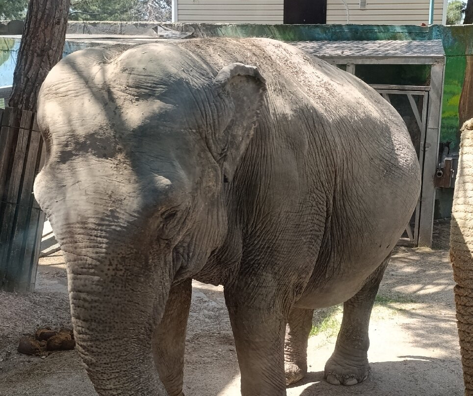 Safari Park景点图片