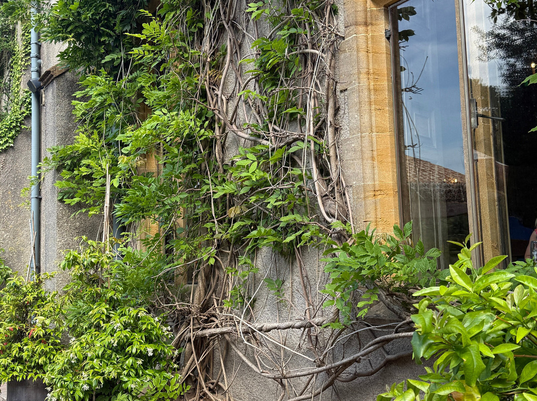 THE PIG - at Combe主图