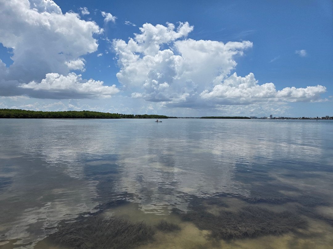 Paddle Out Adventures-克利尔沃特必去景点