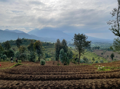 Nature Trails East Africa-恩德培必去景点