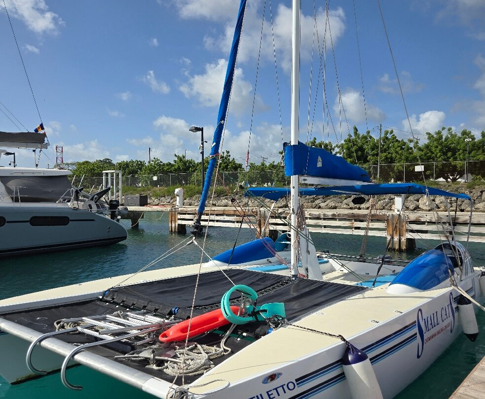Small Cats Catamaran Sailing Cruises-布里奇顿必去景点