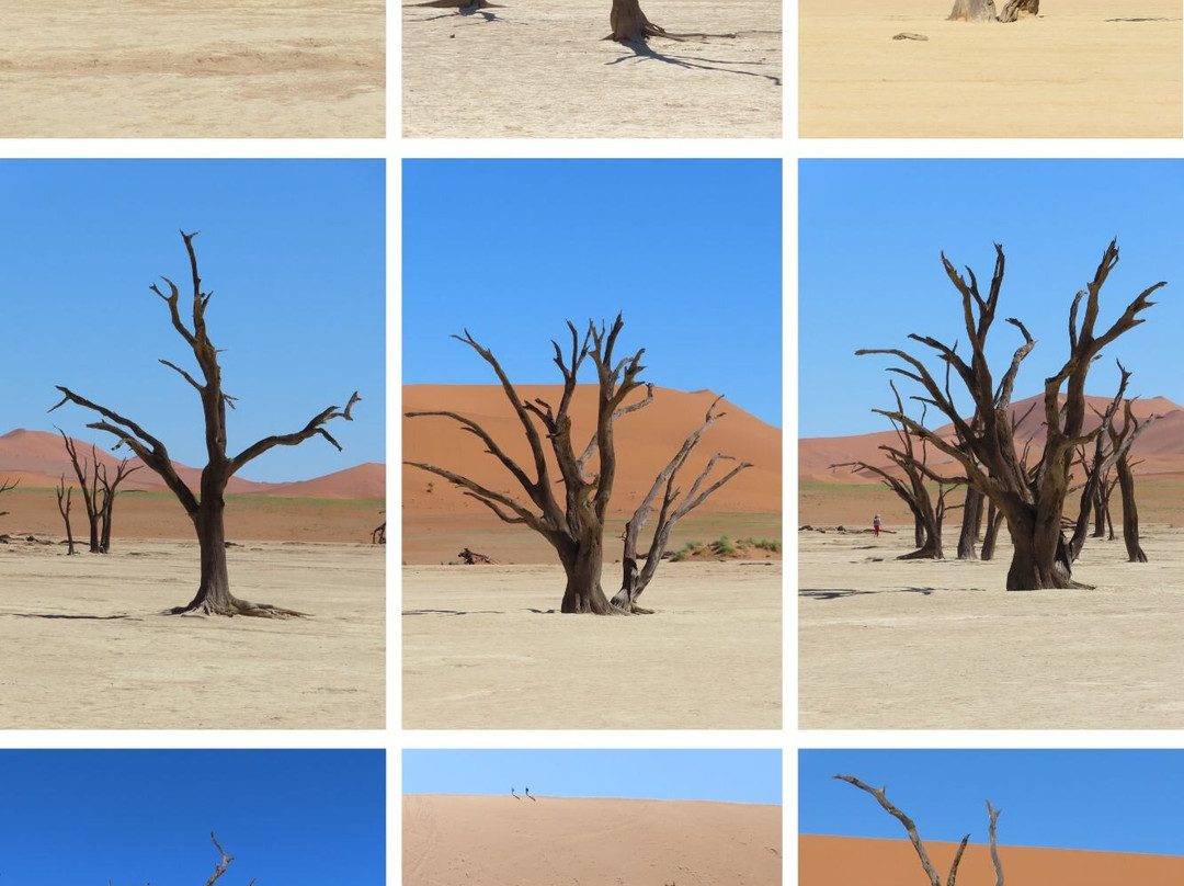 Deadvlei-苏丝斯黎必去景点