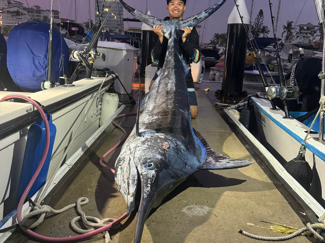 Calypso Fishing Tours - Puerto Vallarta-瓦拉塔港必去景点