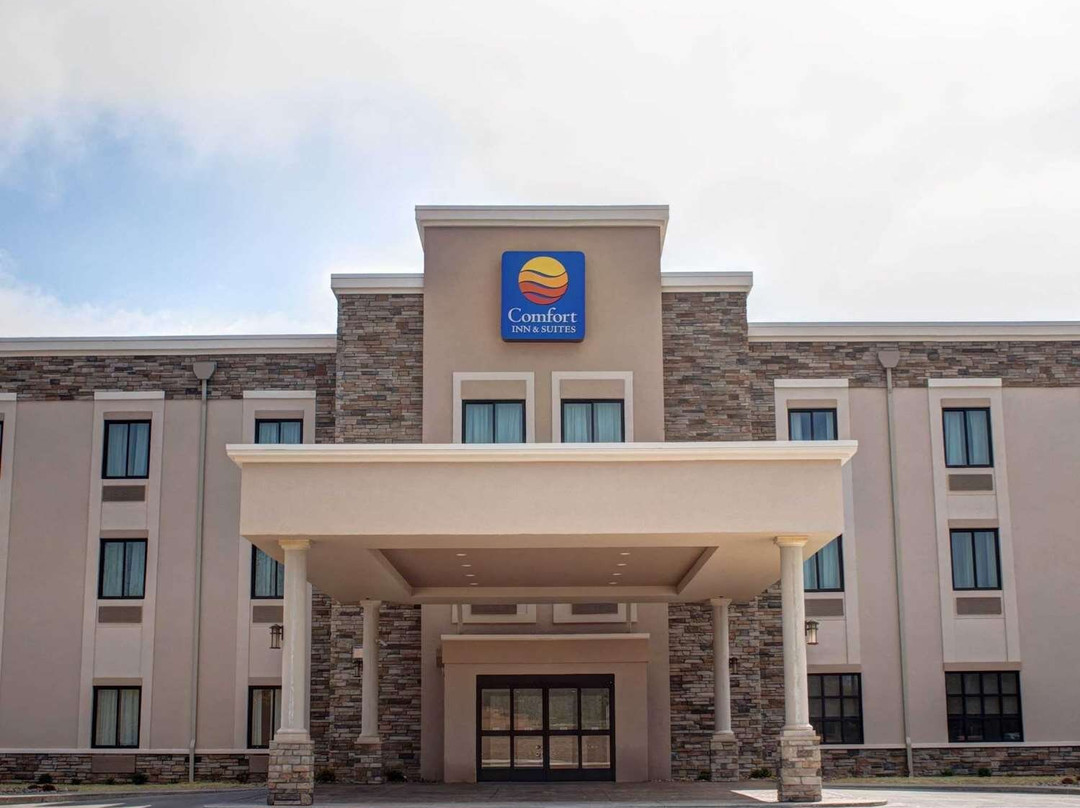 Derwent酒店住宿-Comfort Inn & Suites