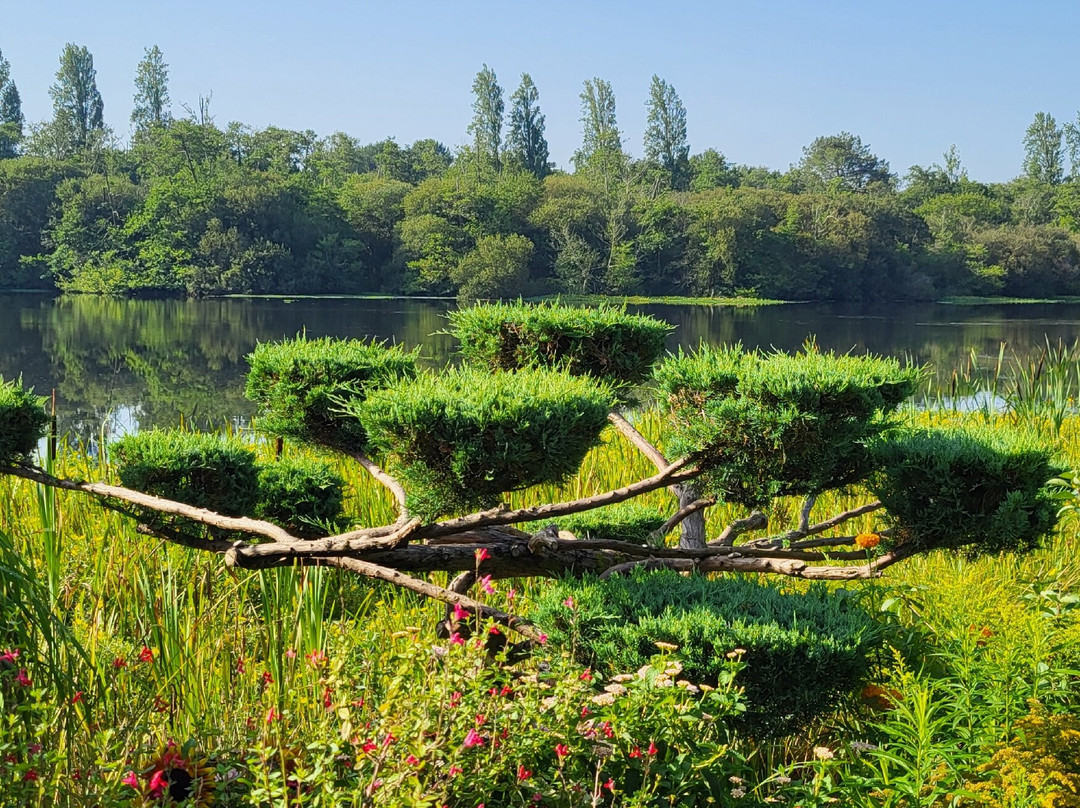 Promenade Fleurie-Mimizan必去景点