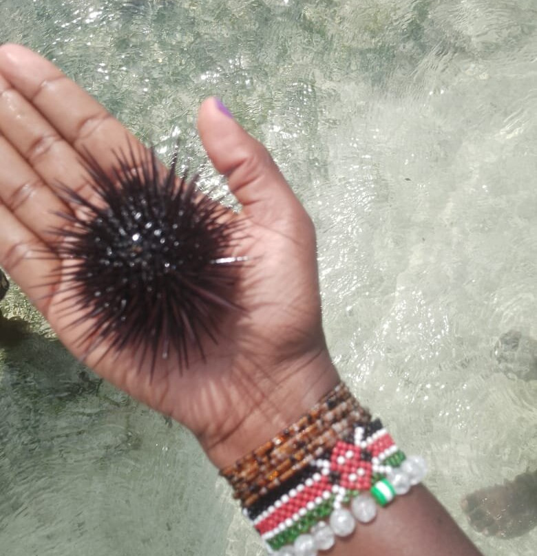 Starluck Travel Limited-内罗毕必去景点