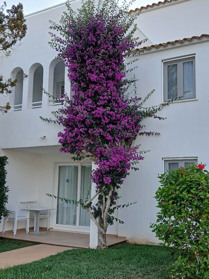 Grupotel Aldea Cala'n Bosch-浴室