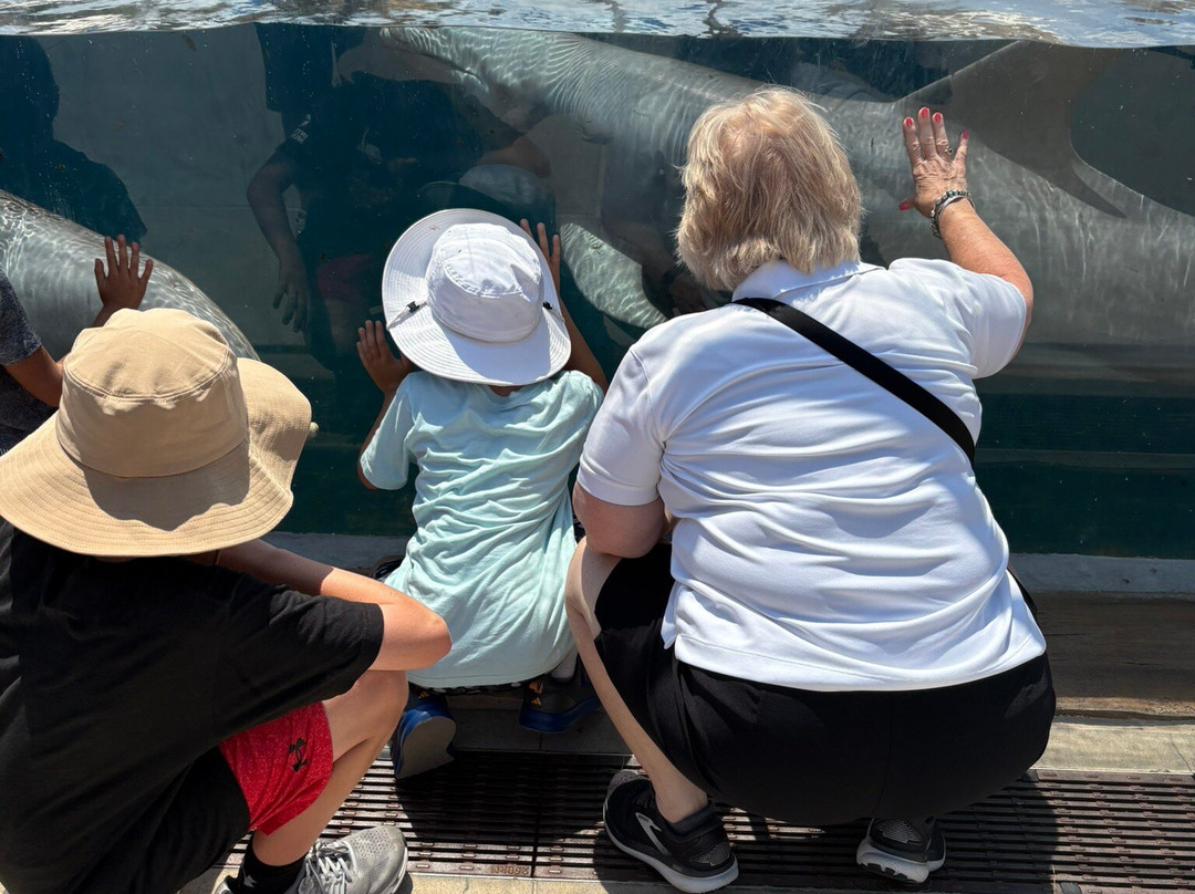 Gulfarium Marine Adventure Park-华尔顿堡滩必去景点