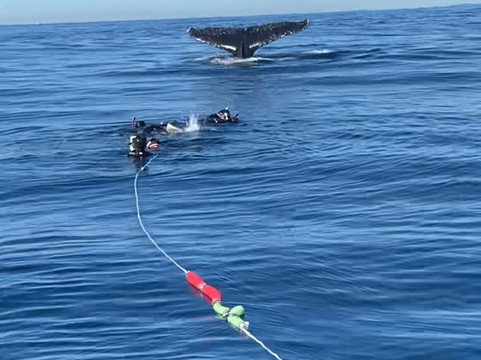 Aqua Adventures-黄金海岸必去景点