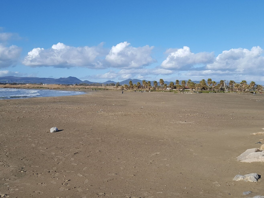 Monumento Naturale Palude di Torre Flavia-拉迪斯波利必去景点