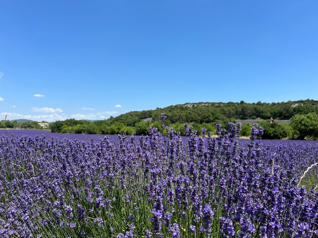 La Falaise de la Madeleine-Lioux必去景点
